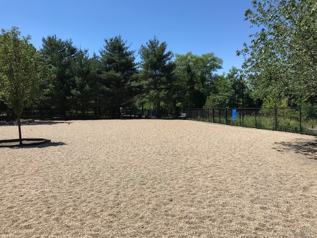 Medford Dog Park | The Stanton Foundation