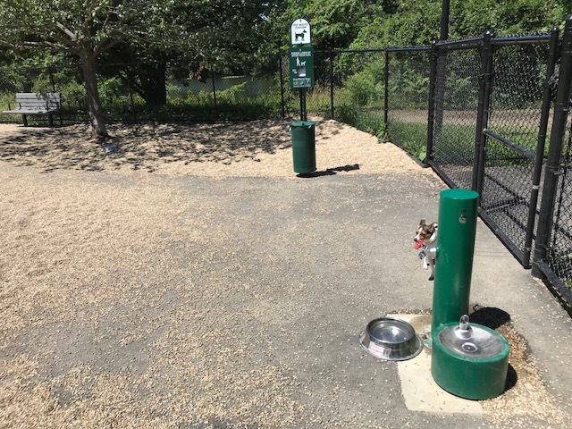 Medford Dog Park | The Stanton Foundation