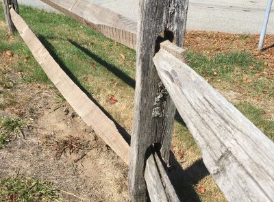 Wood Fence